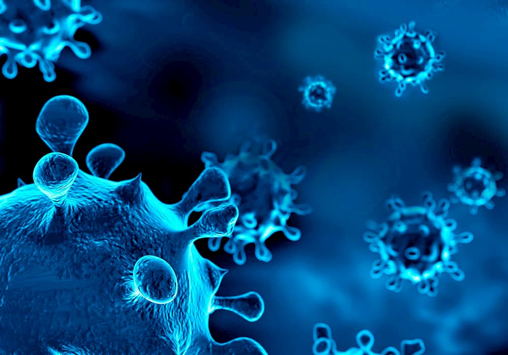 eafb acompanhe nosso blog post